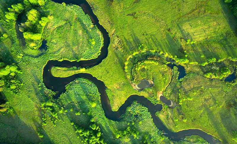 Green nature from above. Aerial view of river landscape