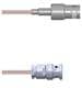 Amphenol Custom Cable Q-0300J0005012i