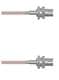 Amphenol Custom Cable Q-040040005012i