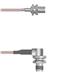 Amphenol Custom Cable Q-040480005012i