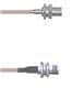 Amphenol Custom Cable Q-0404E0005012i