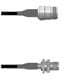 Amphenol Custom Cable Q-1W04I0008048i