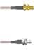 Amphenol Custom Cable Q-2W00P0005012i