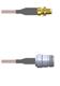 Amphenol Custom Cable Q-31024000H120i