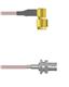 Amphenol Custom Cable Q-340040005012i