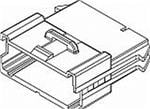 Aptiv (formerly Delphi) 12177254 Image agrandie