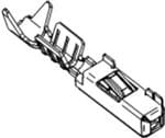 Aptiv (formerly Delphi) 13543887 Image agrandie