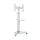 Tripp Lite DMCS3770SG75W