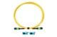 Fluke Networks TRC-SM-VERIFY-MPO16P