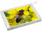 Hantronix HDA570C-G Image agrandie