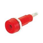 Shin Chin R1-22-R Image agrandie