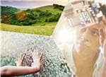 Infineon Technologies e-Power Solutions