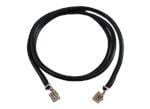 Amphenol FCI Faisceaux de câbles à fils de sortie Mini PV® 2,54 mm