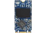Apacer Technology Inc. SV250-M242 Solid State Drives (SSDs)