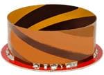 Tallysman HC990EXF Extended-Filter GNSS Helical Antennas