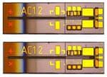 Coherent High-Speed Indium Phosphide (InP) Photodiodes