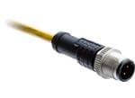 Amphenol LTW Connecteurs circulaires métriques D-Code M12
