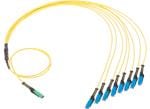 Molex Faisceaux de câbles MMC