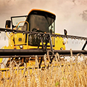 AGRICULTURE