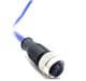 Mueller Electric C4C81M002