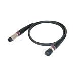 Neutrik NKO2S-XP-0-31 Image agrandie