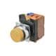 Omron Automation and Safety A22NL-RPA-TGA-G100-GC
