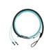 Panduit FZTRP7NQSONF030