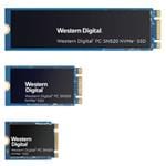 SanDisk SDAPNUW-256G Image agrandie