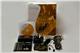 ZiLOG Z16FMC28200KITG